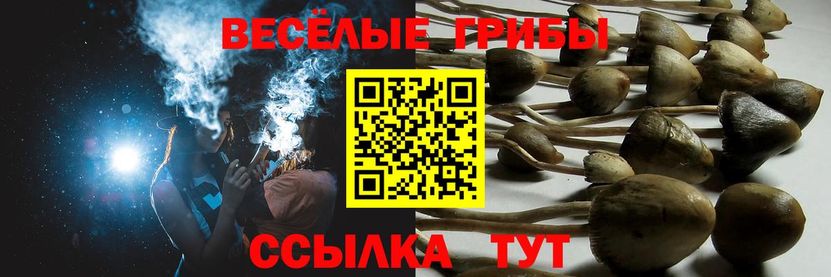 Псилоцибиновые грибы мицелий  Вход с VPN  Галлюциногенные грибы GOLDEN TEACHER  Петрозаводск 